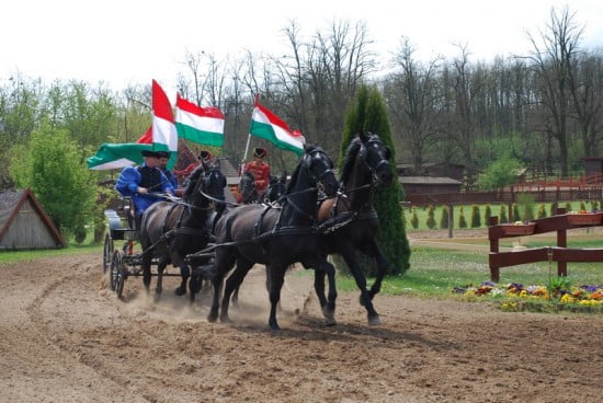 hästprogram i Ungern