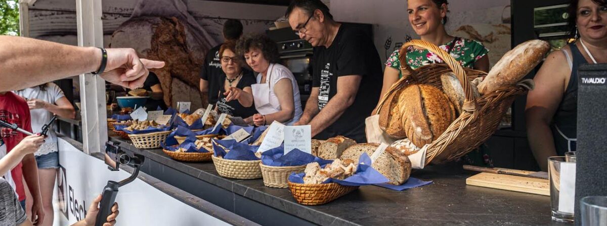 Rosé och mousserande vinfestival 2026
