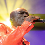 seal koncert