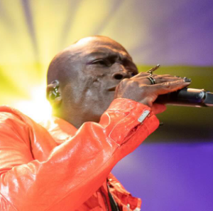 seal koncert