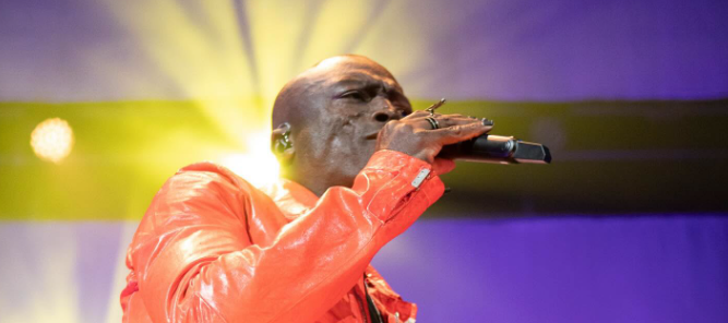 seal koncert
